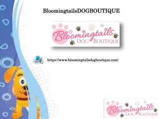 BloomingtailsDOGBOUTIQUE
https://www.bloomingtailsdogboutique.com/
 
