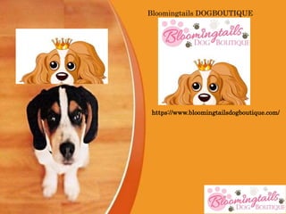 Canless Air System
Bloomingtails DOGBOUTIQUE
https://www.bloomingtailsdogboutique.com/
 
