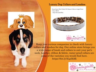 Luxury Dog Collars and Leashes.pptx