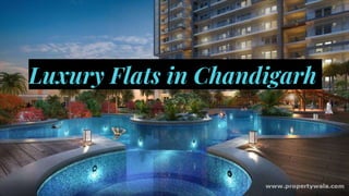 Luxury Flats in Chandigarh
Luxury Flats in Chandigarh
 