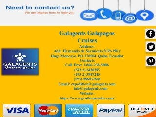 Luxury galapagos cruise