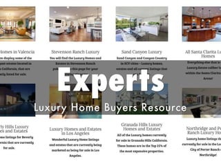 Luxury homes and real estate representatives REMAX collection | PPTX