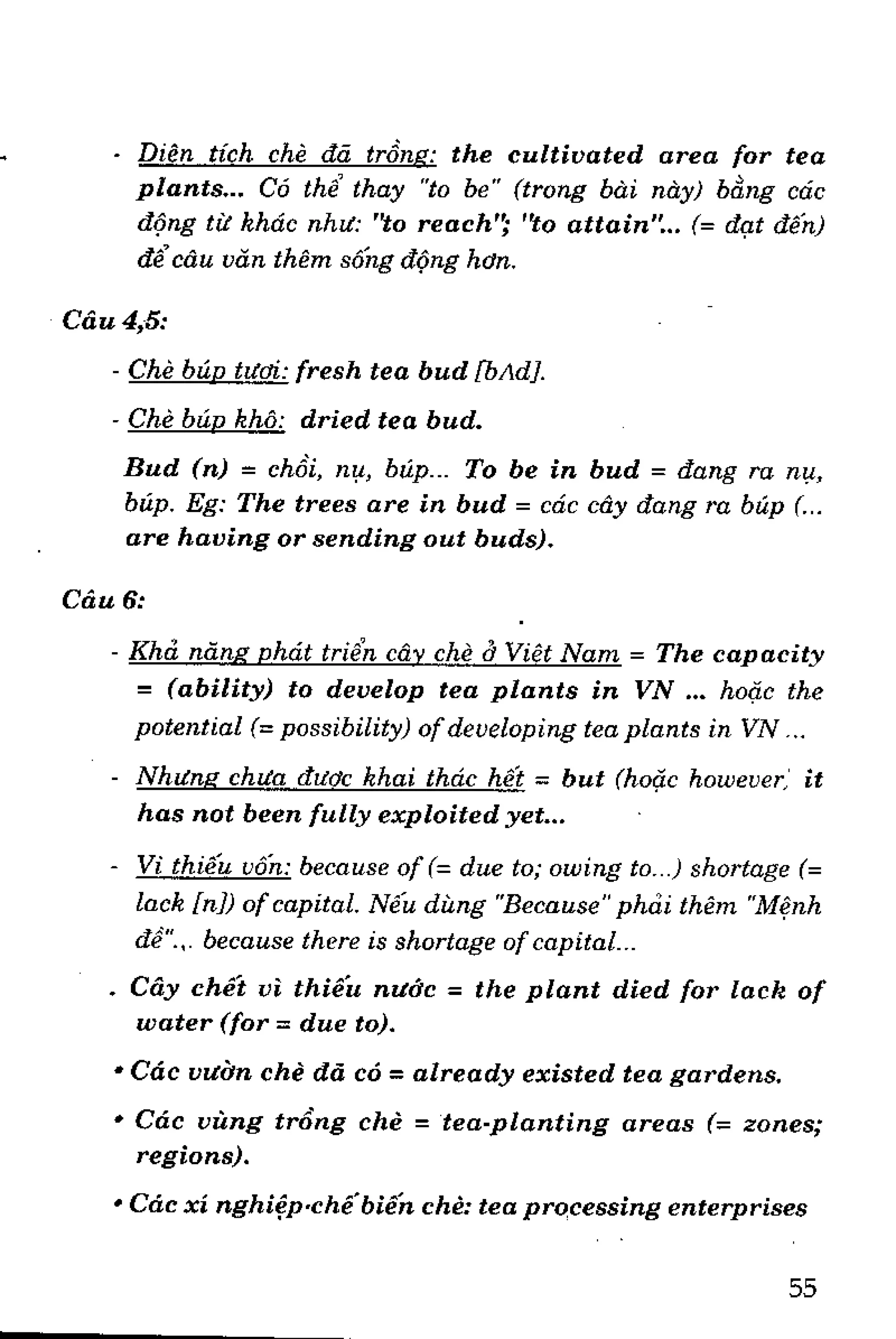 Luyện dịch Việt Anh