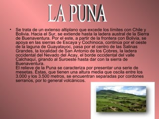 Se trata de un extenso altiplano que excede los límites con Chile y Bolivia. Hacia el Sur, se extiende hasta la ladera austral de la Sierra de Buenaventura. Por el este, a partir de la frontera con Bolivia, se apoya en las sierras de Escaya y Cochinoca, continúa por el oeste de la laguna de Guayatayoc, pasa por el centro de las Salinas Grandes, la localidad de San Antonio de los Cobres, la ladera occidental del Nevado del Acay, el borde occidental del valle Calchaquí, girando al Suroeste hasta dar con la sierra de Buenaventura. El relieve de la Puna se caracteriza por presentar una serie de mesetas. Éstas, que tienen una altura media que oscila entre los 3.000 y los 3.500 metros, se encuentran separadas por cordones serranos, por lo general volcánicos.  LA PUNA 