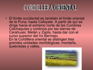 El límite occidental es también el límite oriental de la Puna, hasta Cafayate. A partir de quí se dirige hacia el extremo norte de las Cumbres Calchaquíes y continúa por las sierras de Carahuasi, Metán y Zapla, hasta dar con el curso superior del río Bermejo. En la Cordillera oriental se distingen tres grandes unidades morfológicas: montaña, quebradas y valles.  CORDILLERA ORIENTAL 