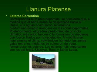 Llanura Platense Esteros Correntino   Corresponde s  a un área deprimida. se considera que, a medida que el Alto Paraná se desplazaba hacia el Oeste, sus aguas acumularon sedimentos predominantemente arenosos en las zonas deprimidas. Posteriormente, el gradual predominio de un ciclo climático más árido favoreció la formación de médanos, que fueron fijados por la vegetación. Al modificarse nuevamente el clima, volviéndose húmedo, las zonas bajas entre los médanos se colmaron de agua, formándose los esteros. Los esteros más importantes son los del Iberá, Maloyas, Batel y Santa Lucía.  