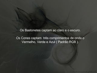 Os Bastonetes captam ao claro e o escuro. Os Cones captam  três comprimentos de onda o Vermelho, Verde e Azul ( Padrão RGB ). 