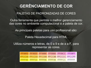 GERÊNCIAMENTO DE COR PALETAS DE PADRONIZADAS DE CORES Outra ferramenta que permite o melhor gerenciamento das cores no ambiente computacional é a paleta de cor. As principais paletas para uso profissional são: Paleta Hexadecimal para HTML Utiliza números e letras, de 0 a 9 e de a a F, para representar as cores. 