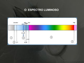 O  ESPECTRO LUMINOSO   