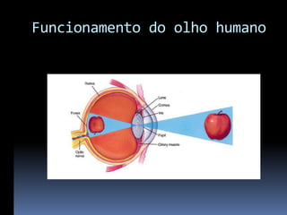 Funcionamento do olho humano
 