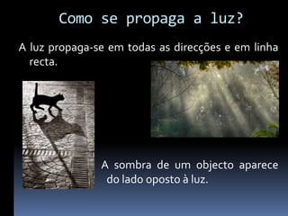Como se propaga a luz?
A luz propaga-se em todas as direcções e em linha
  recta.




               A sombra de um objecto aparece
                do lado oposto à luz.
 