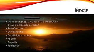 ÍNDICE
• O que é a luz?
• Como se propaga a luz? E como é constituída?
• O que é o triângulo de visão?
• Reflexão da luz
• Os nossos olhos
• Constituição dos olhos
• As cores
• Biografia
• Realização
 