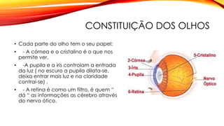 CONSTITUIÇÃO DOS OLHOS
• Cada parte do olho tem o seu papel:
• - A córnea e o cristalino é o que nos
permite ver.
• -A pupila e a iris controlam a entrada
da luz ( no escuro a pupila dilata-se,
deixa entrar mais luz e na claridade
contrai-se) .
• - A retina é como um filtro, é quem “
dá “ as informações as cérebro através
do nervo ótico.
 