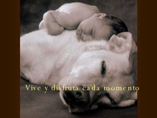 Vive y disfruta cada momento