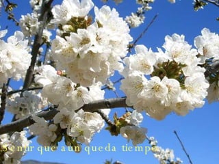 Sentir que aún queda tiempo