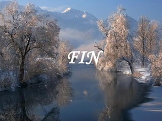 FIN