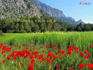 Porque creo en ti cada mañana