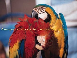 Aunque a veces tú , no creas nada.