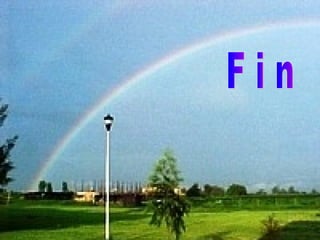 F i n 
