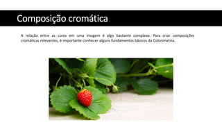 Composição cromática
A relação entre as cores em uma imagem é algo bastante complexo. Para criar composições
cromáticas relevantes, é importante conhecer alguns fundamentos básicos da Colorimetria.
 