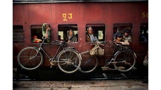 Steve McCurry
 
