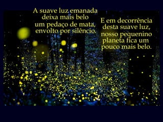 A suave luz emanada
   deixa mais belo
                       E em decorrência
um pedaço de mata, desta suave luz,
 envolto por silêncio. nosso pequenino
                       planeta fica um
                       pouco mais belo.
 