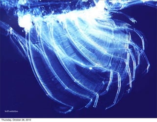 krill antártico
Thursday, October 28, 2010
 
