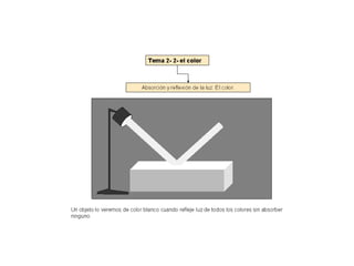 Luz1