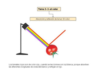 Luz1