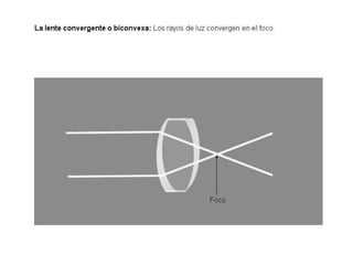 Luz1