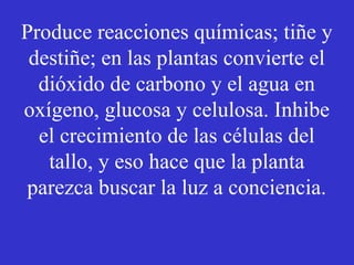 Produce reacciones químicas; tiñe y 
destiñe; en las plantas convierte el 
dióxido de carbono y el agua en 
oxígeno, glucosa y celulosa. Inhibe 
el crecimiento de las células del 
tallo, y eso hace que la planta 
parezca buscar la luz a conciencia. 
 