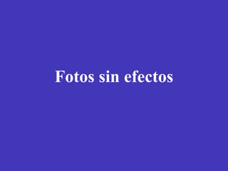 Fotos sin efectos 
 