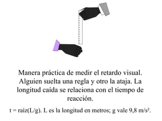 Manera práctica de medir el retardo visual. 
Alguien suelta una regla y otro la ataja. La 
longitud caída se relaciona con el tiempo de 
reacción. 
t = raíz(L/g). L es la longitud en metros; g vale 9,8 m/s². 
 