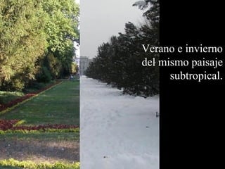 Verano e invierno 
del mismo paisaje 
subtropical. 
 