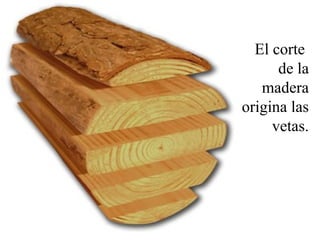 El corte 
de la 
madera 
origina las 
vetas. 
 