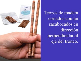 Trozos de madera 
cortados con un 
sacabocados en 
dirección 
perpendicular al 
eje del tronco. 
 