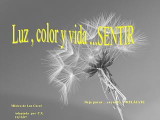 Luz , color y vida ...SENTIR Música de Luz Casal   Adaptada  por  P.X. 16/10/07 Deja pasar …escucha  y RELÁJATE   