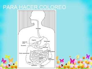 PARA HACER COLOREO
 