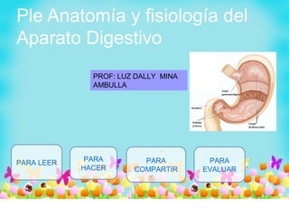 Ple Anatomía y fisiología del
Aparato Digestivo
PROF: LUZ DALLY MINA
AMBULLA
PARA LEER PARA
HACER
PARA
COMPARTIR
PARA
EVALUAR
 