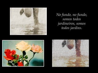 No fundo, no fundo,
somos todos
jardineiros, somos
todos jardins.
 
