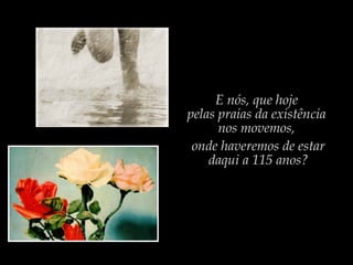 E nós, que hoje
pelas praias da existência
nos movemos,
onde haveremos de estar
daqui a 115 anos?
 