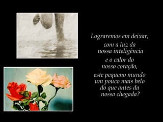 Lograremos em deixar,
com a luz da
nossa inteligência
e o calor do
nosso coração,
este pequeno mundo
um pouco mais belo
do que antes da
nossa chegada?
 