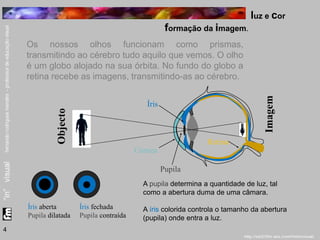 luz e cor 
formação da imagem. 
Os nossos olhos funcionam como prismas, 
transmitindo ao cérebro tudo aquilo que vemos. O olho 
é um globo alojado na sua órbita. No fundo do globo a 
retina recebe as imagens, transmitindo-as ao cérebro. 
A pupila determina a quantidade de luz, tal 
como a abertura duma de uma câmara. 
A íris colorida controla o tamanho da abertura 
(pupila) onde entra a luz. 
Íris aberta 
Pupila dilatada 
Íris fechada 
Pupila contraída 
Objecto 
Íris 
Pupila 
Imagem 
Córnea 
Retina 
4 
 