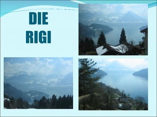 DIE RIGI 