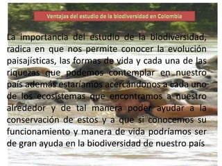 La importancia del estudio de la biodiversidad,
radica en que nos permite conocer la evolución
paisajísticas, las formas de vida y cada una de las
riquezas que podemos contemplar en nuestro
país además estaríamos acercándonos a cada uno
de los ecosistemas que encontramos a nuestro
alrededor y de tal manera poder ayudar a la
conservación de estos y a que si conocemos su
funcionamiento y manera de vida podríamos ser
de gran ayuda en la biodiversidad de nuestro país
 