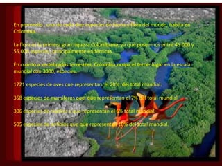 En promedio , una de cada diez especies de fauna y flora del mundo, habita en
Colombia.

La flora es la primera gran riqueza Colombiana, ya que poseemos entre 45.000 y
55.000 especies, principalmente endémicas

En cuanto a vertebrados terrestres, Colombia ocupa el tercer lugar en la escala
mundial con 3000, especies.

1721 especies de aves que representan el 20% del total mundial.

358 especies de mamíferos que que representan el 7% del total mundial

306 especies de reptiles s que representan el 6% total mundial.

505 especies de anfibios que que representan 10% del total mundial.
 