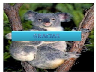 Luz estela mendez_gonzales