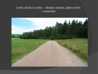 Luzino     to wieś gminna leżąca w powiecie wejherowskim.

Biorąc pod uwagę dokumenty z 1245 roku można stwierdzić, iż
Luz...
