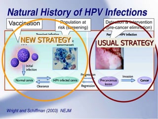 Vaccination Population at
risk (screening)
Detection & Intervention
(pre-cancer elimination)
USUAL STRATEGYNEW STRATEGY
 