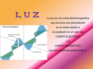 Luz polarizada PPT